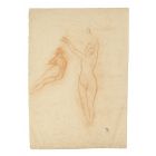 Nudes Study