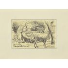 Animals in the Enclosure
