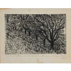The Trees