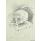 The Skull