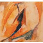 Orange Composition
