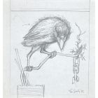 The Crow
