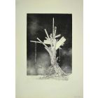 Tree of Life