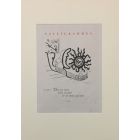 Illustration from "Calligrammes"