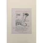 Illustration from "Calligrammes"