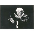 Famous Conductor Bernstein 