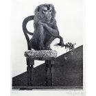 Sitting Monkey 