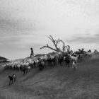 Layers of Movement VIII
