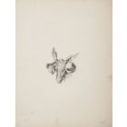 Donkey with Bells