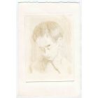The portrait of a Boy