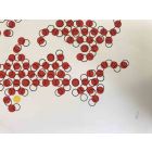Red Circles