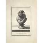 Ancient Roman Bust