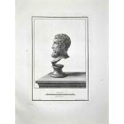 Profile of Ancient Roman Bust