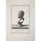 Profile of Ancient Roman Bust