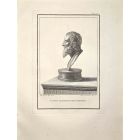 Profile of Ancient Roman Bust