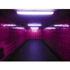 Pink Wall