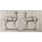 Animal Figures of Ancient Rome