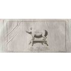 Animal Figures of Ancient Rome