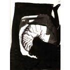 Spiral  Woman