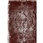 Figure on Brown