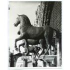 Horses Vintage Photo Detail of St. Mark's Cathedral in Venice