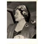 Portrait of Queen Mother Elizabeth