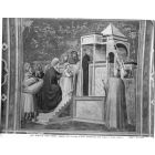 Vintage Photo Detail of the Cappella degli Scrovegni - Padova (Italy)
