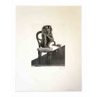 The Monkey