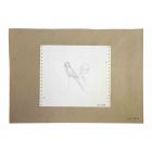 The Nude and Parrot