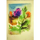 Plants and Flowers