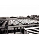 The Solar Panels