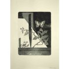 The Knife and Butterfly