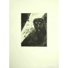 The Owl