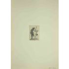 The Somersault  Nude