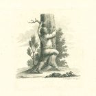 A Boy Climbing a Tree
