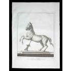 Ancient Roman Statue of the horse