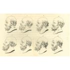 Heads of Man