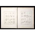 Portraits of Men and Women