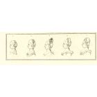Heads of Women