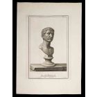 Ancient Roman Bust