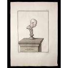 Ancient Roman Bust