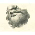Lips Portrait