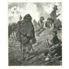 The Speech of a Wanderer