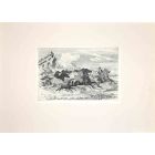 Wild Horses in  Roman Countryside