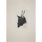 The Buffalo