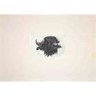 The Buffalo