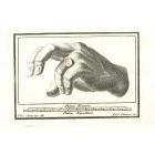 Ancient Hand of Hercolaneum