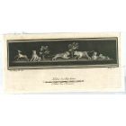 Ancient Roman Animals