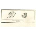 Ancient Roman Hands