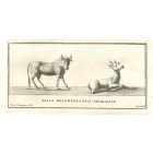Ancient Roman Statues of  Animals